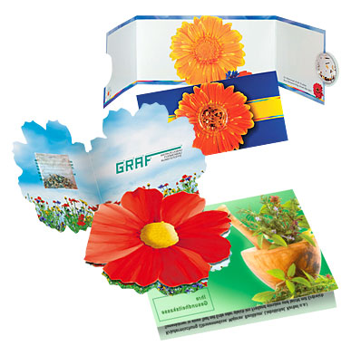Greeting card with summer flower seeds.